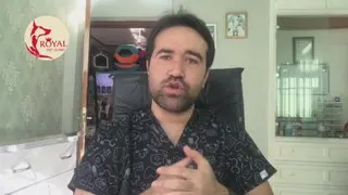 تغذیه در سگ‌ها و توله سگ‌ها