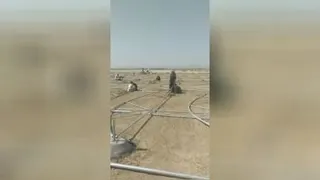 ساخت گلخانه های حرفه ای
