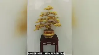انرژی مثبت