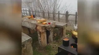 طبیعت
