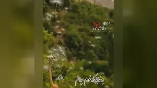 دکلمه قاصدک با صدای فاطمه ظهرابی