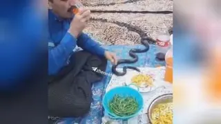 عسگر با مار ها رفیق شده و بهشون نوشابه هم میده