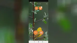 موسیقی مدیتیشن