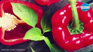 مواد غذایی مناسب برای تقویت سیستم ایمنی بدن