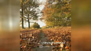فقط خدا