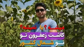 کاشت زعفران در مازندران / گیلان