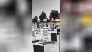 گوشزد ما