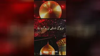 حیدر حیدر