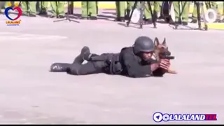 سگ سرباز جهان