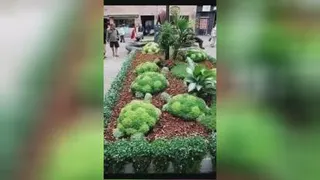هنرمندانه