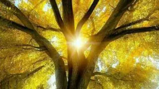 قدرت تلقین با جملات تاکیدی