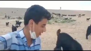 واقعا عالیه