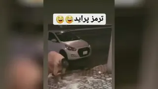ترمز پراید 😂😂😂