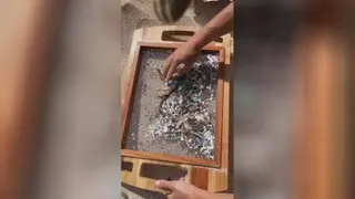 محیط زیست دریا