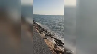 آرامش دریا