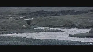 مستند خرس قطبی