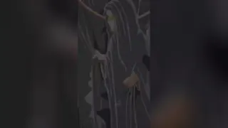 در کربلا چی اتفاقی افتاده؟😭😭