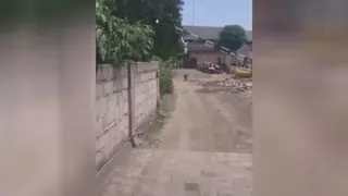 مرغ پرواز