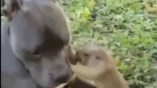 وقتی نمیخوای بری مهمونی ولی به زور میخوان ببرنت😂