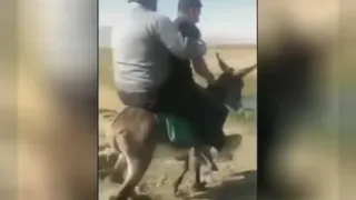 خخخخخخ