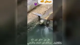 واقعا جذاب