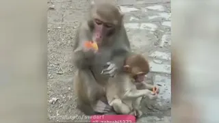 خنده دار