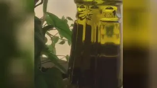 روغن زیتون فرابکر