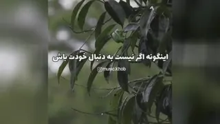 فلسفی