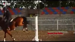 یگان وبژه