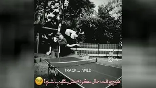 تیز بز