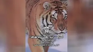 موفقیت