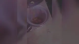 یک جرعه آرامش🥰