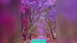 کلیپ انگیزشی