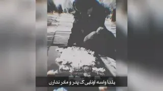 شب یلدا