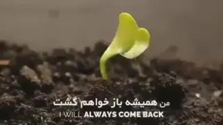 موفقیت