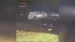 خنده دار