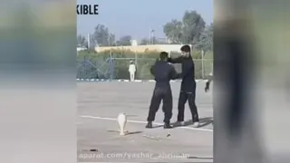 طنز خنده دار