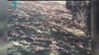 پنجره ها