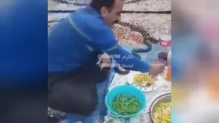 مهمون مار