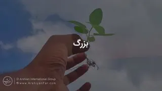اعتمادبه نفس