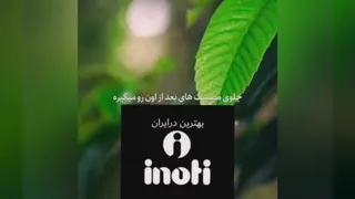 آینوتی