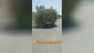 سم های وطنی😂