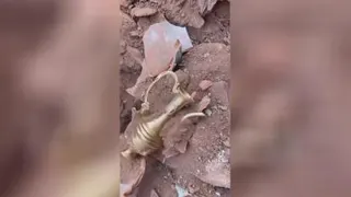 زیر خاکی