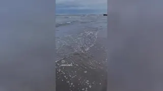 قشنگ زندگی کنید