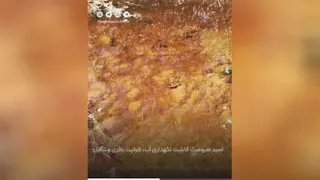 کود فوق العاده برای کشاورزی و باغدارهای عزیز(هیومیک اسید )