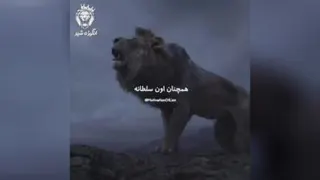 نگرش