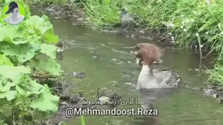 صداگذاری خیلی خیلی باحال