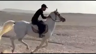 سوارکاری