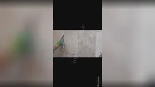 تشخیص ترکیدگی لوله با دستگاه