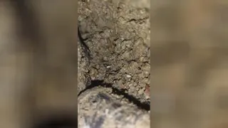 تشخیص ترکیدگی لوله با دستگاه